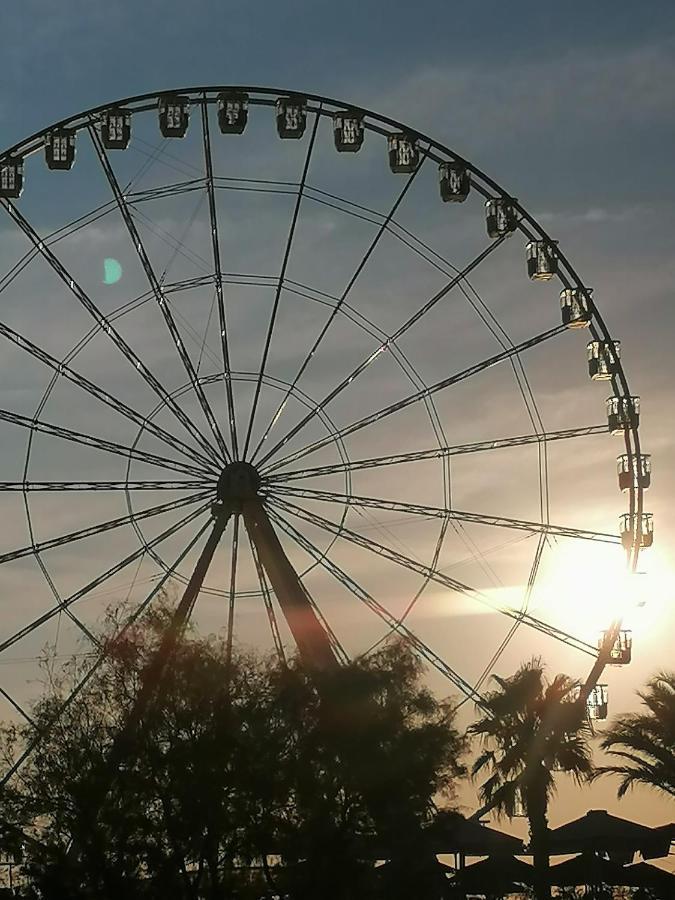 Marseille : Joli T2 Mer Et Collines + Terrasse エクステリア 写真